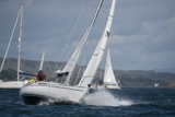 hot toddy 3199y whyw18 mon gjmc 6717w